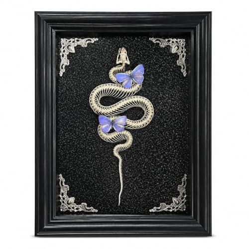 Gothic Handmade Butterfly & Snake Bone Shadow Box - Style B