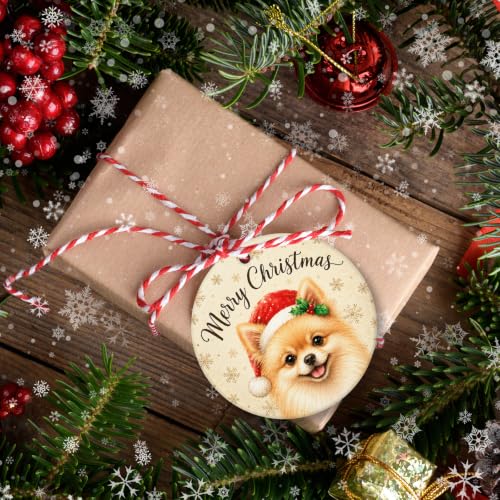 Pomeranian Christmas Ornament Dog Keepsake - Winter Snowflake Hanging Decor - Variation of Christmas Animal 7