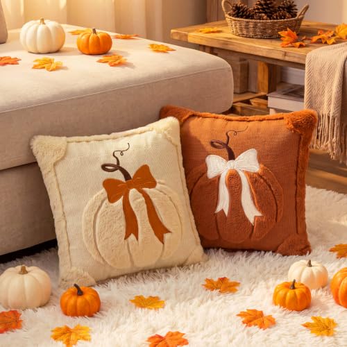 Beige & Dark Rust Fall Pumpkin Throw Pillow Covers 18x18 Set of 2