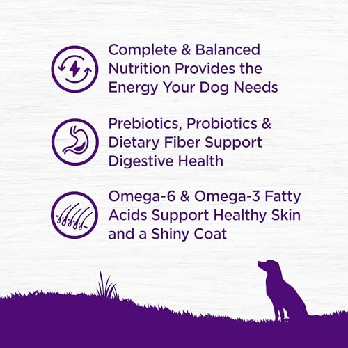 Wellness Complete Health Dry Dog Food with Grains, Natural Ingredients, Made in USA with Real Meat, All Breeds, For Adult Dogs (Chicken & Oatmeal, 5-Pound Bag)