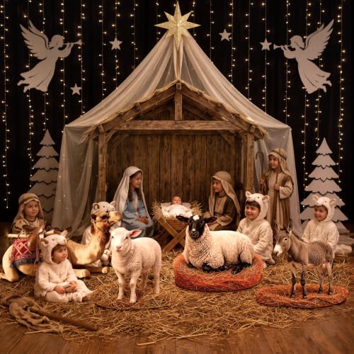 Christmas Nativity Cardboard Cutouts Set - Stable Scene Decor for Church & Holiday Events