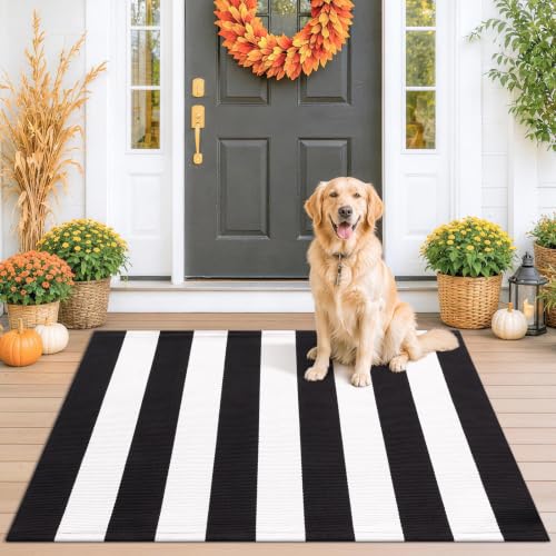 Black White Striped Entryway Rug - 2'4 x 3'7 Front Door Mat - Farmhouse Style