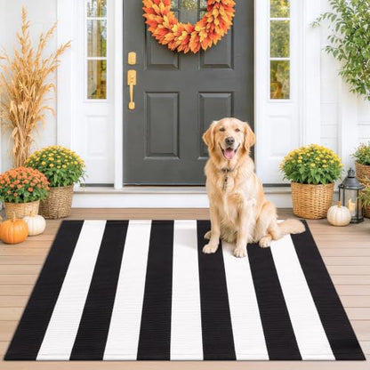 Black White Striped Entryway Rug - 2'4 x 3'7 Front Door Mat - Farmhouse Style