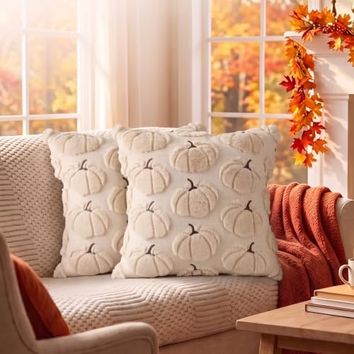 Fall Pumpkin Pillow Covers 18x18 Set of 2 Beige - Seasonal Decor