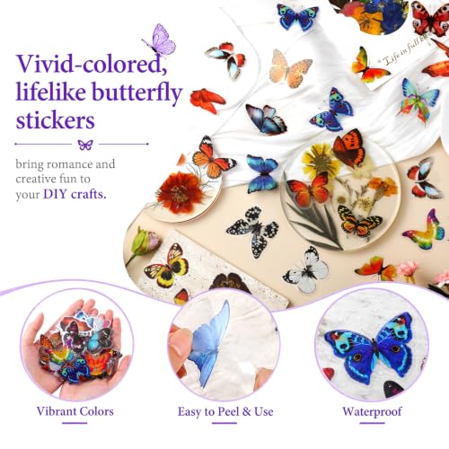 Multi-Color 800 PCS Dried Pressed Flowers for Resin Crafts and DIY Projects