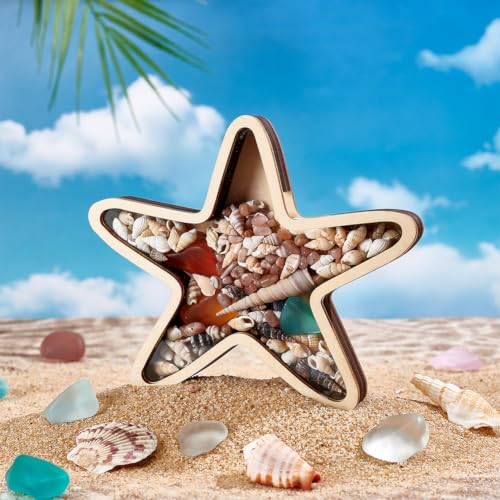 Starfish Wooden Shark Tooth Display Case 6.7x6.4 Inch Beach Decor