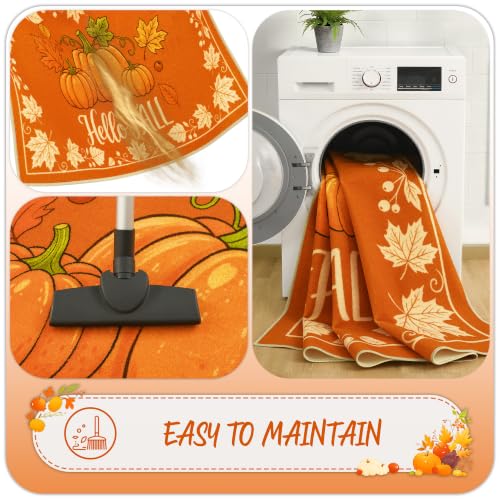 Hello Pumpkin Fall Door Mat 17x29 Inches Welcome Rug for Porch & Entryway - Variations Available