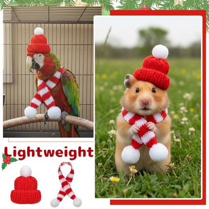 Mini Santa Hat and Scarf Set for Christmas Decorations - 24 Pieces