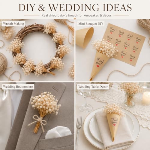 Mini Dried Baby’s Breath Flower Favors Kit with Wraps & Stickers - 12 Sets