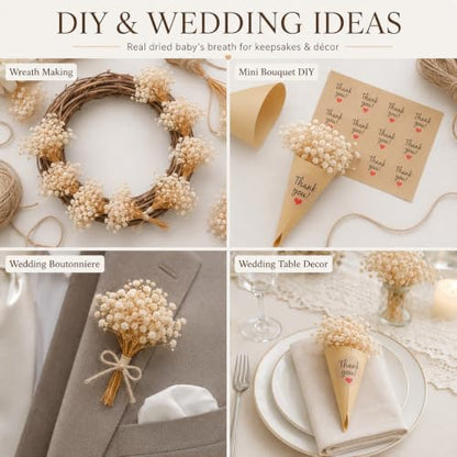 Mini Dried Baby’s Breath Flower Favors Kit with Wraps & Stickers - 12 Sets