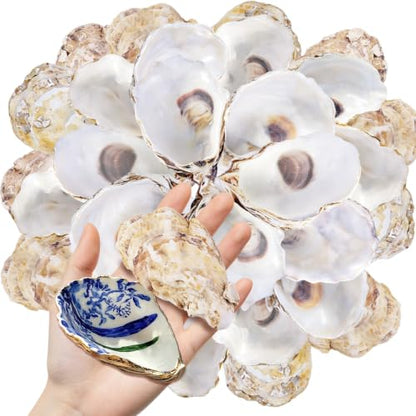 10PCS Natural Concave Oyster Shells for Crafts, Decor & DIY Projects - 3-4 Inch