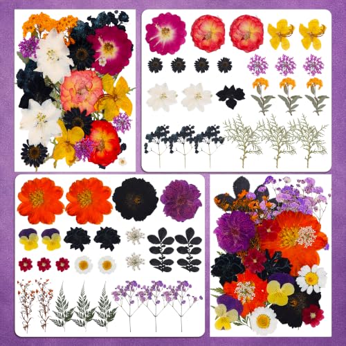 Halloween Dried Flowers for Crafts - Preserved Pressed Flowers Set, 100pcs