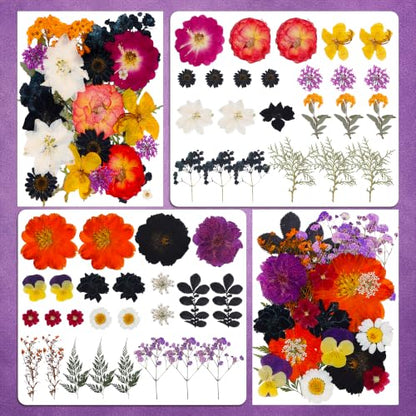 Halloween Dried Flowers for Crafts - Preserved Pressed Flowers Set, 100pcs