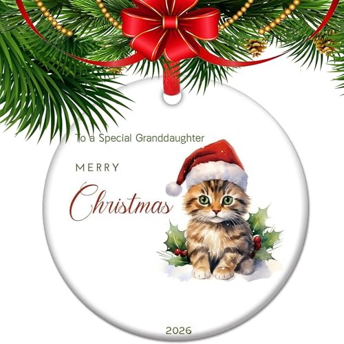 Granddaughter Christmas Ornament V16 - Cute Kitten Santa Holiday Keepsake