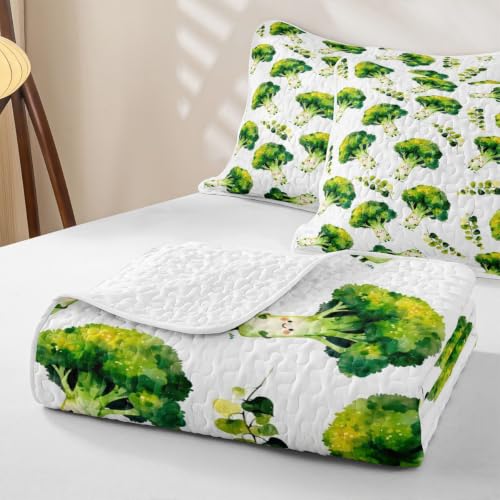 Homewish Broccoli Vegetable Quilt Set Queen Size for Girls Boys Teens - Green Vegetables 01