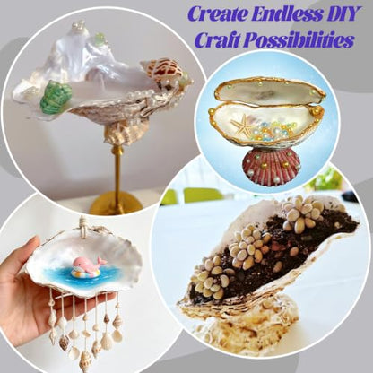 Natural Concave Oyster Shells for Crafts, Decor & Jewelry - 20PCS