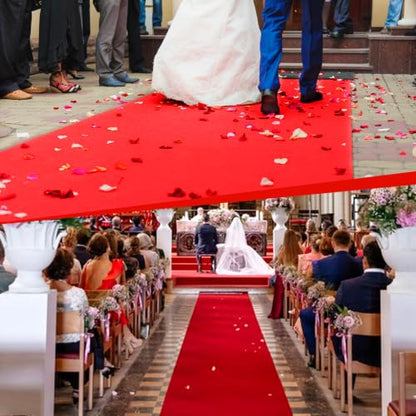 Thick Red Carpet Runner 3x20 FT Non Slip Wedding Aisle Rug Indoor Outdoor