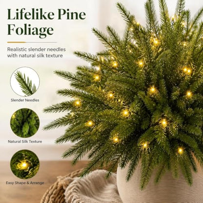 Twinkling Enchanted Evergreen Pine Tree with Lights - 5 Pieces