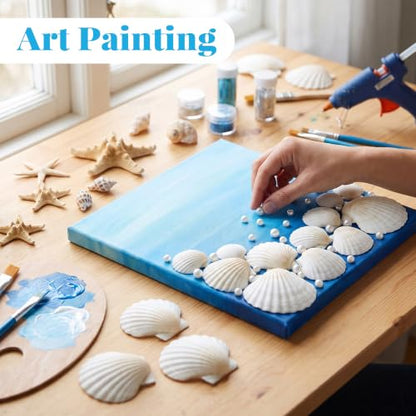 50PCS Natural Seashells for Crafts White Scallop Shells 1.2-2 Inches — Ocean Decor & DIY Projects
