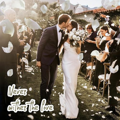 White Dried Rose Petals for Weddings - Biodegradable & Natural - 4 Pack (100g each) - Romantic Table Decor & Flower Girl