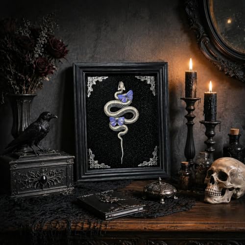 Gothic Handmade Butterfly & Snake Bone Shadow Box - Style B