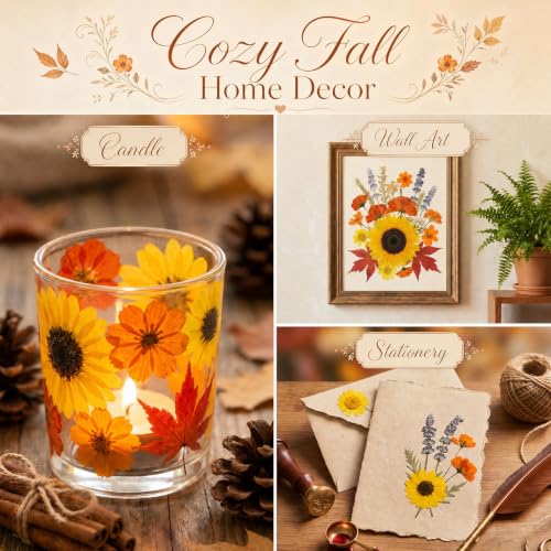 Fall Dried Pressed Flowers for Crafts - Harvest Variation, 15 Types