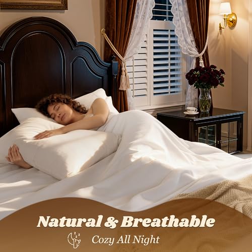 White Queen Egyptian Cotton Bed Sheet Set 1000 TC Deep Pocket 16"