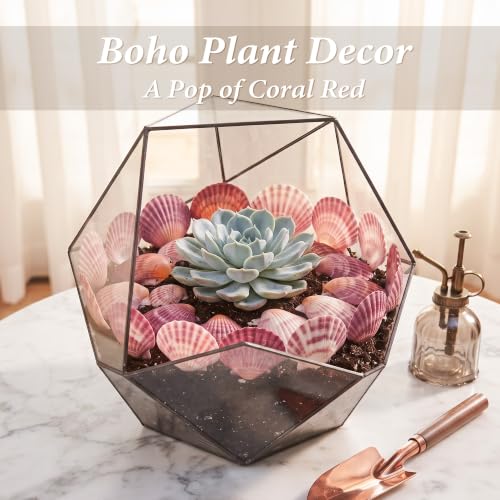 Natural Pink Scallop Shells for Crafts and Home Decor - 30 Pieces, 2-3 Inch