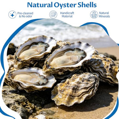 30PCS 4-5 Inch Concave Oyster Shells for Crafts, Natural and Large