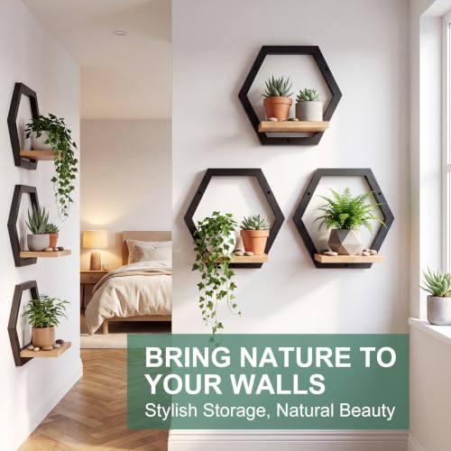 Novabright Black Solid Wood Wall Plant Holder Shelves Set of 6 Indoor Garden Decor