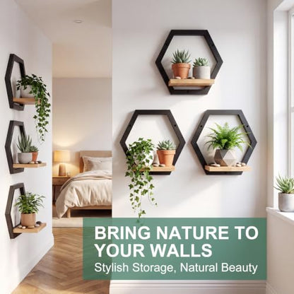 Novabright Black Solid Wood Wall Plant Holder Shelves Set of 6 Indoor Garden Decor