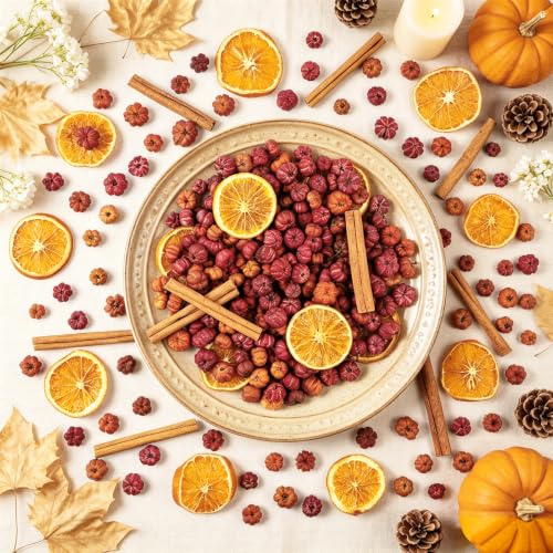 Mini Dried Pumpkin Pods Set with Orange Slices & Cinnamon Sticks Fall Decor