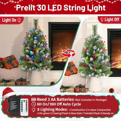 30 Inch Outdoor Christmas Tree Set with Lights - 2 Pack Prelit Holiday Decor