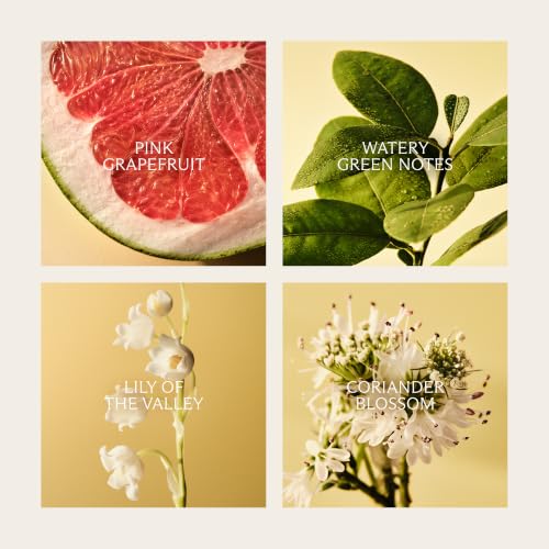 Grapefruit Scented Reed Diffuser - Refillable Glass Vase, 5.9 fl oz