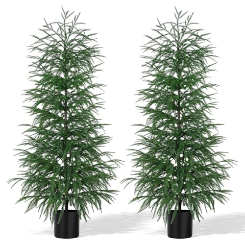 Norfolk Pine Tree Artificial Indoor Outdoor 5FT with Pot - 2 Pack