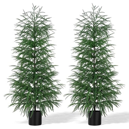 Norfolk Pine Tree Artificial Indoor Outdoor 5FT with Pot - 2 Pack