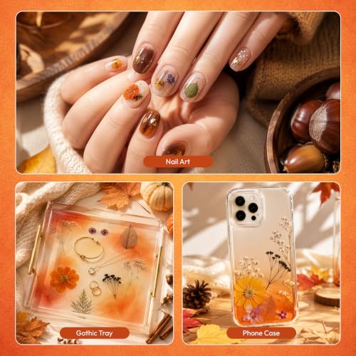 Halloween Dried Flowers for Crafts - Preserved Pressed Flowers Set, 100pcs