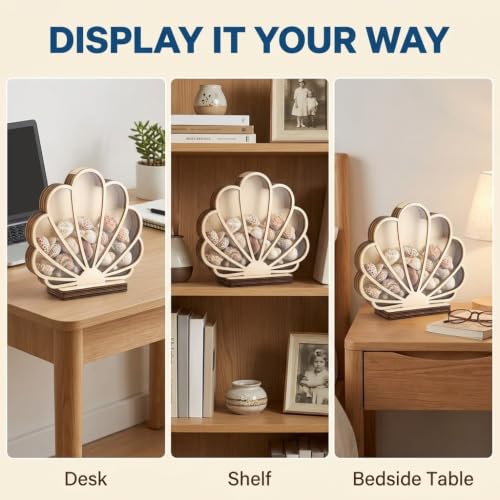Wooden Seashell Shadow Box Display Stand Coastal Decor