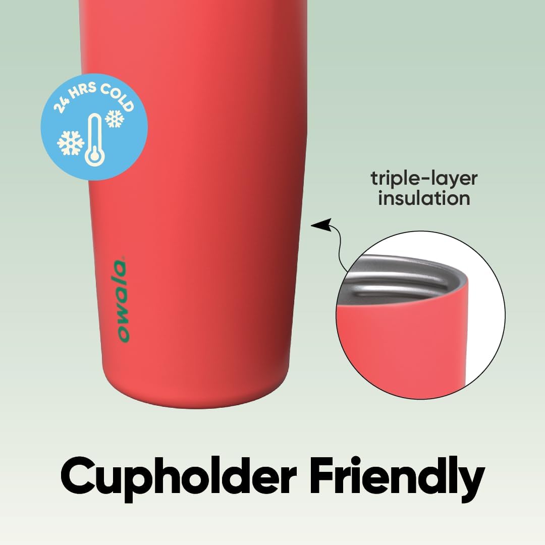 Owala FreeSip Sway Insulated Water Bottle - 40oz Stainless Steel with Two-Way Spout & Straw | BPA Free, Leak Proof, Strawberry Fields
