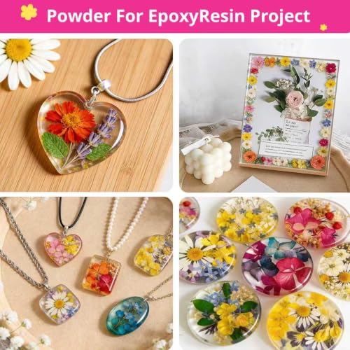 580Pcs Mini Dried Flowers for Resin - Small Pressed Flowers for DIY Crafts - Vibrant Colors