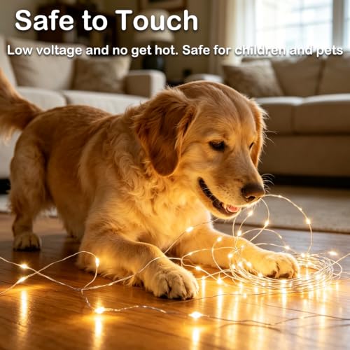 Fairy Lights Battery Operated 2M Warm White 3 Modes - 12 Pack