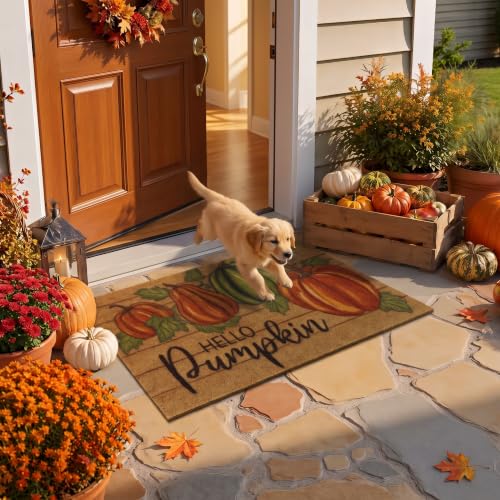 Hello Pumpkin Fall Door Mat - Orange 17x30 Low Profile Welcome Rug