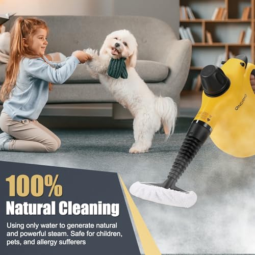 Handheld Steam Cleaner 450ml Tank with 10 Accessories for Home & Car Cleaning