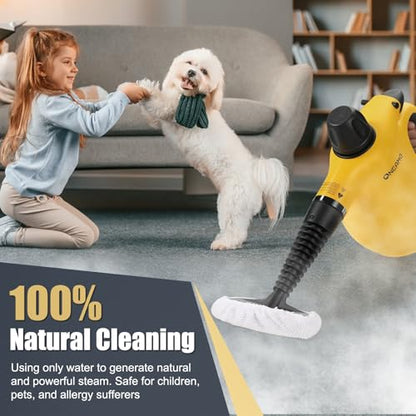 Handheld Steam Cleaner 450ml Tank with 10 Accessories for Home & Car Cleaning