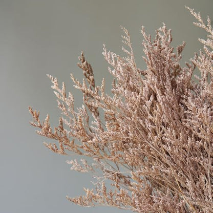 Preserved Sea Lavender Flower Bouquet - Light Brown, Artificial Dried Flower Arrangement