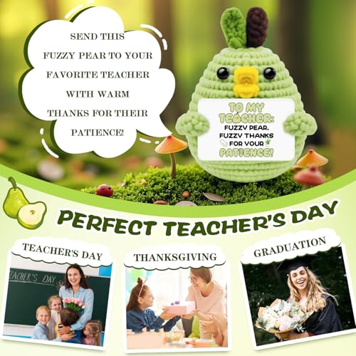 Teacher Appreciation Gifts Crochet Duck Pear Decor - Teacher Variation