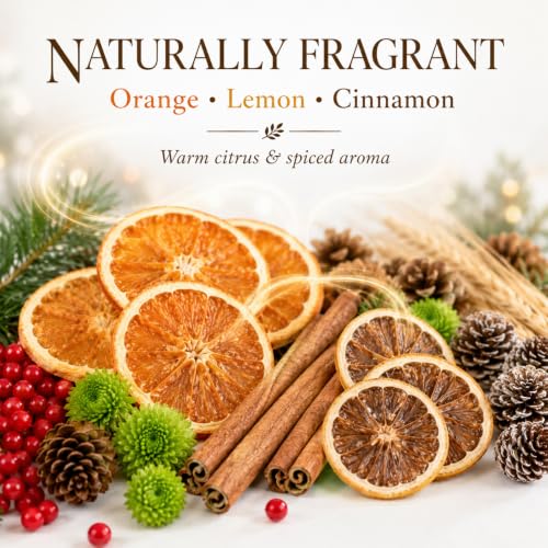 DIY Citrus & Cinnamon Potpourri Kit for Home Fragrance & Decor