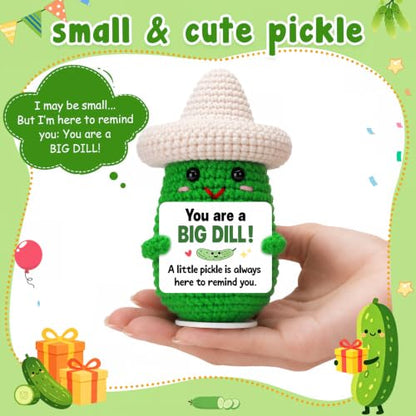 Encouragement Gift for Her Him Friends Crochet Pickle - Supportive Handcrafted Decor
