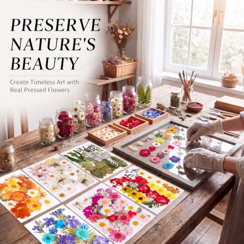 160 Pcs Natural Dried Flowers for Resin Crafts Jewelry Candle Making