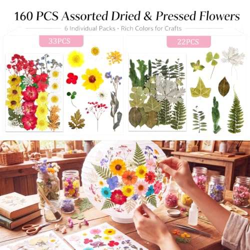 160 Pcs Natural Dried Flowers for Resin Crafts Jewelry Candle Making